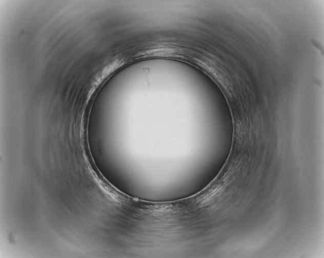 X0000096451426200802071801