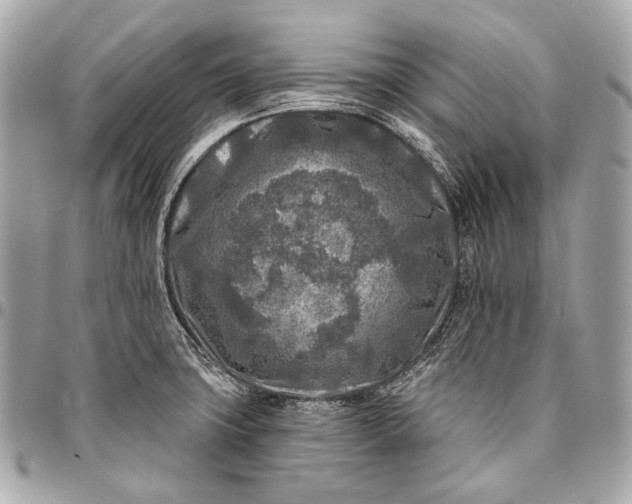 X0000096451427200802071801