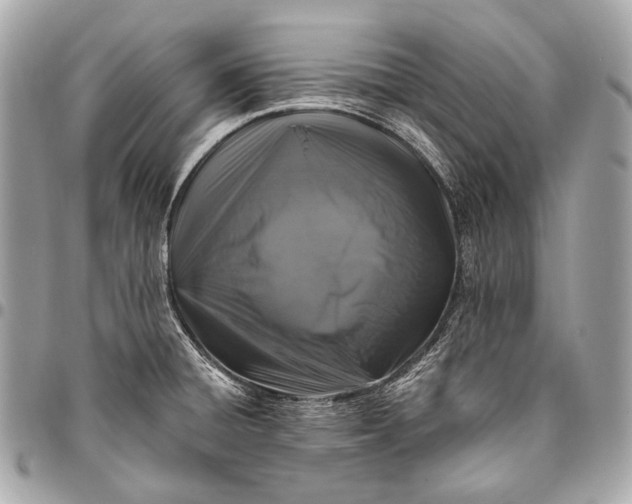 X0000096451428200802071801