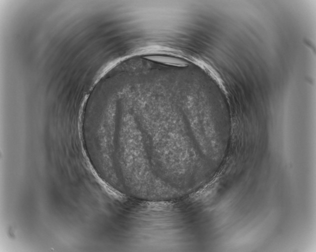 X0000096451429200802071801