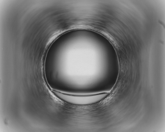 X0000096451430200802071801