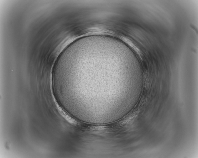 X0000096451431200802071801