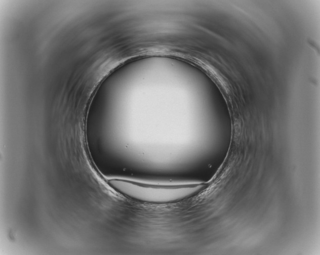 X0000096451432200802071801