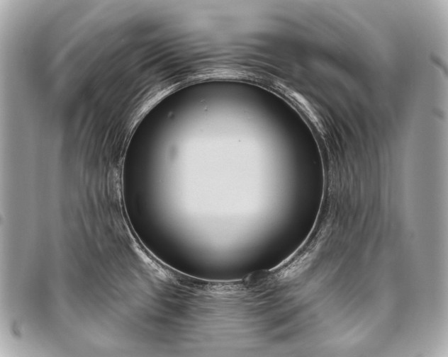 X0000096451433200802071801