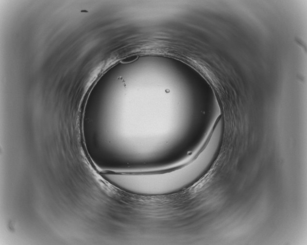 X0000096451434200802071801