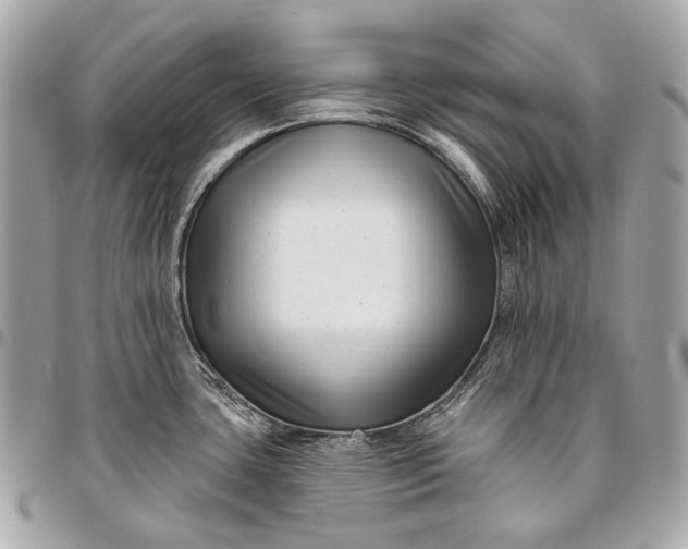 X0000096451435200802071801