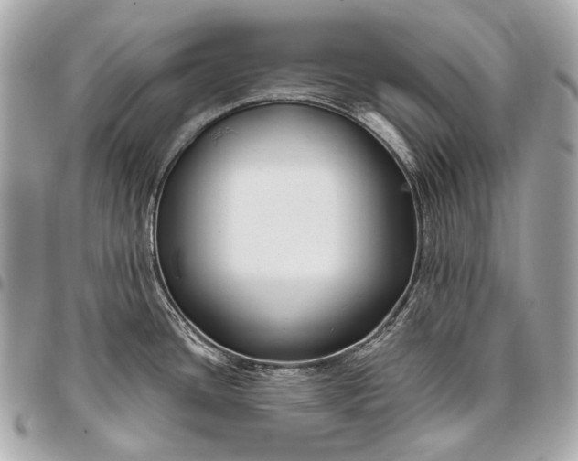 X0000096451436200802071801