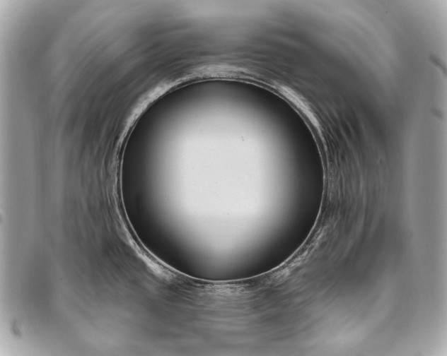 X0000096451437200802071801