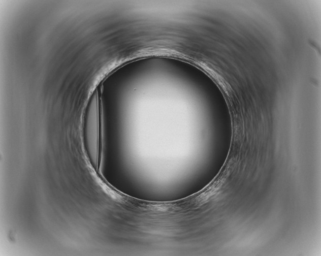 X0000096451438200802071801