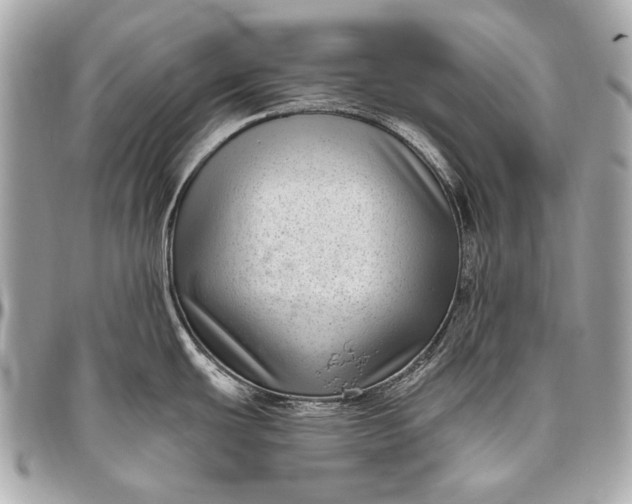 X0000096451439200802071801