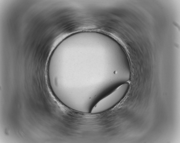 X0000096451440200802071801