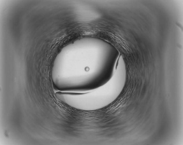 X0000096451441200802071800