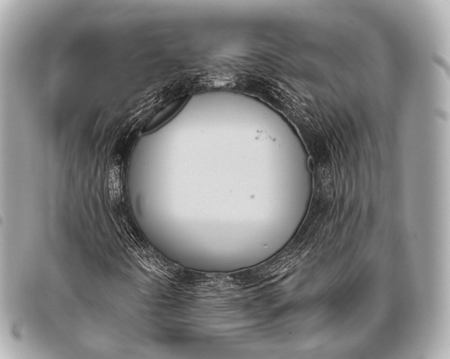 X0000096451442200802071800