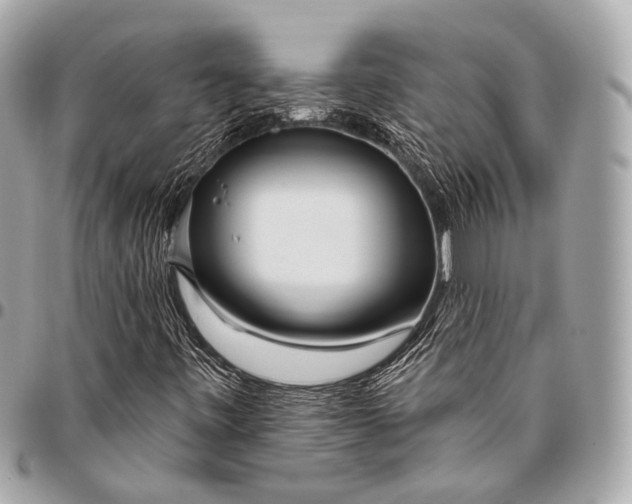 X0000096451443200802071800