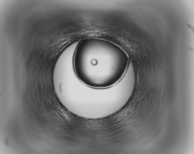 X0000096451444200802071800