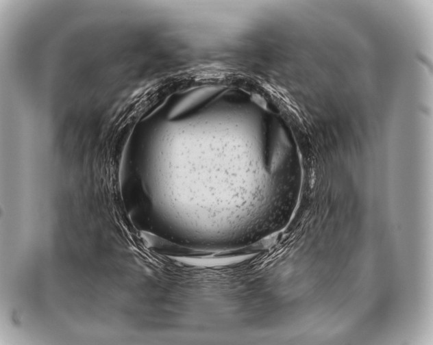 X0000096451445200802071800