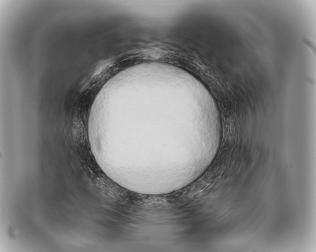 X0000096451446200802071800