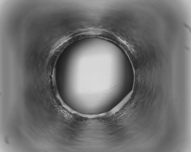 X0000096451448200802071800