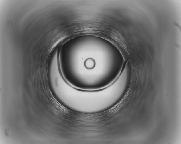 X0000096451450200802071800