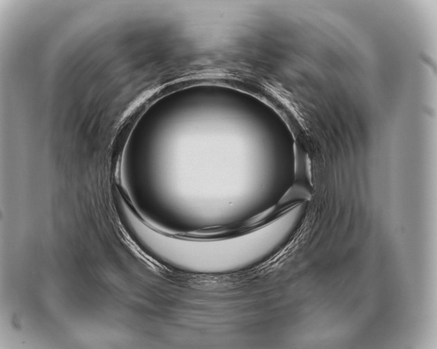 X0000096451452200802071800