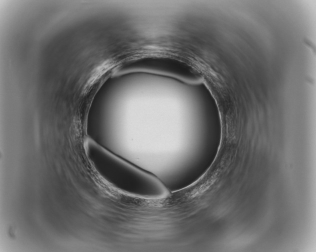 X0000096451453200802071800