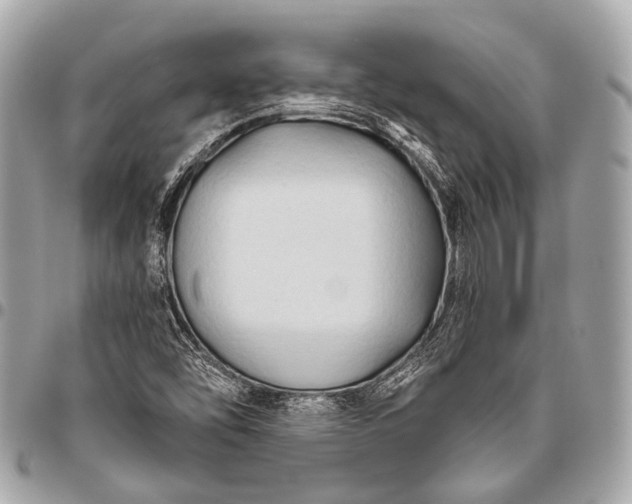 X0000096451454200802071800