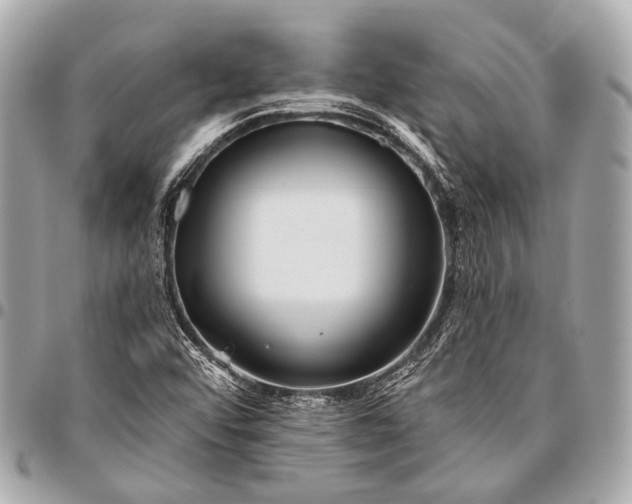 X0000096451456200802071800