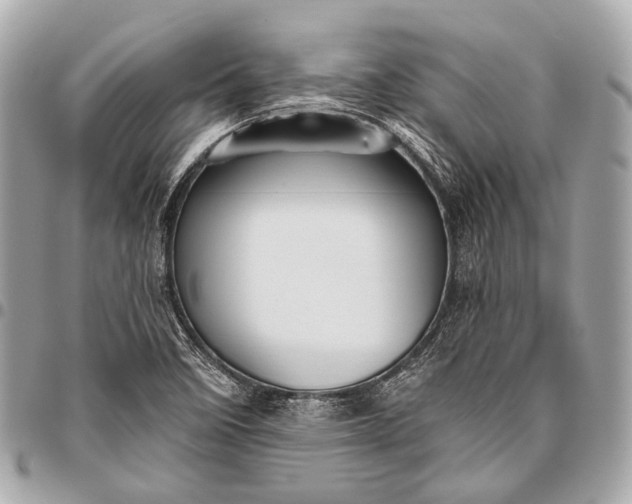 X0000096451458200802071800