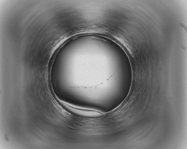 X0000096451460200802071800