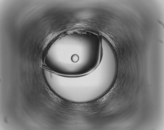 X0000096451461200802071800