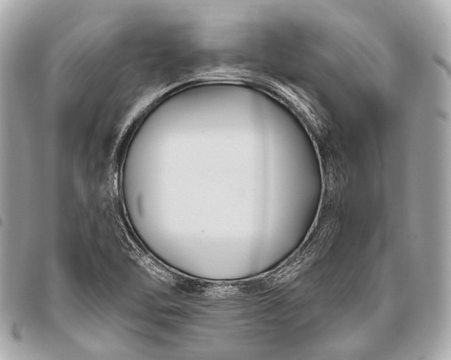 X0000096451462200802071800