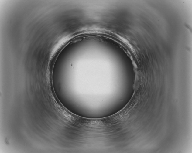 X0000096451464200802071800