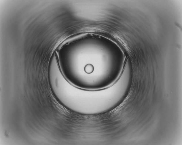 X0000096451465200802071800