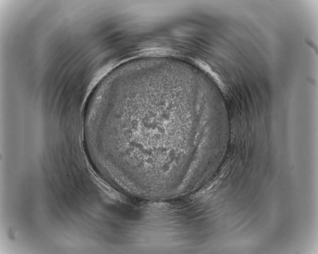 X0000096451467200802071800