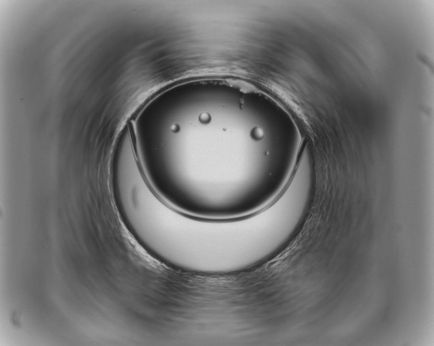 X0000096451468200802071800