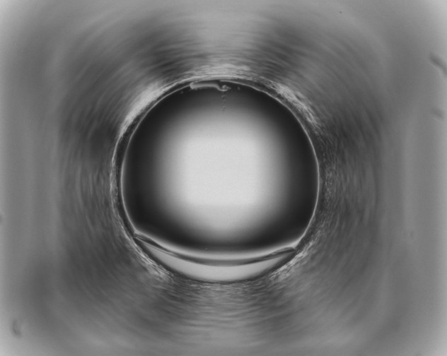 X0000096451469200802071800