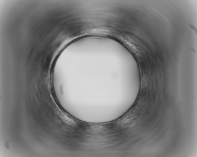 X0000096451470200802071800