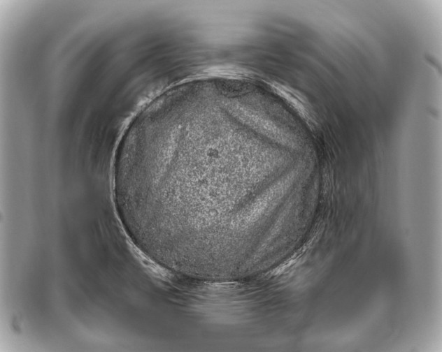 X0000096451471200802071800