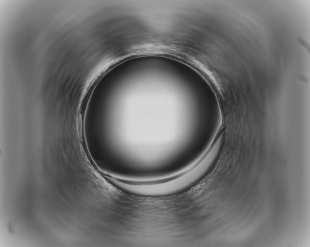 X0000096451472200802071800