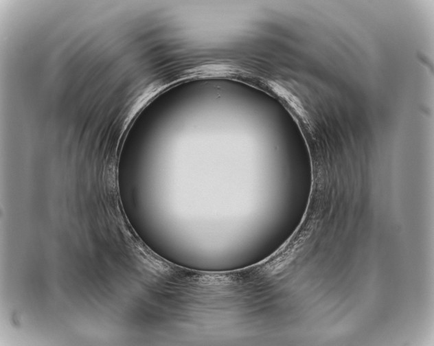 X0000096451473200802071800