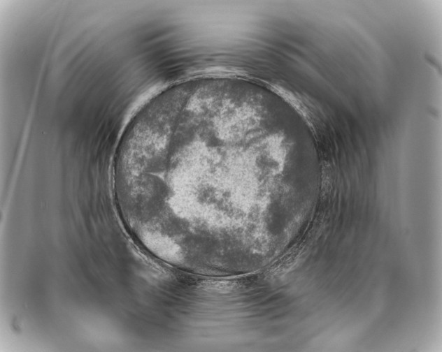 X0000096451474200802071800