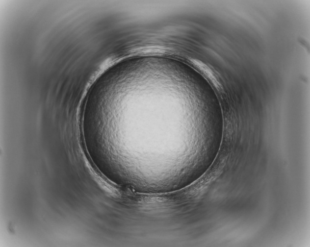 X0000096451475200802071800