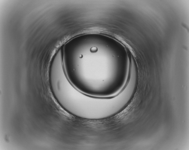 X0000096451477200802071800