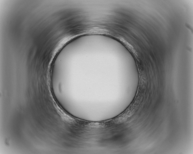 X0000096451478200802071800