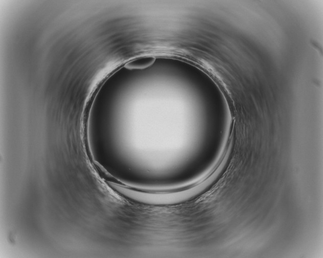 X0000096451480200802071800