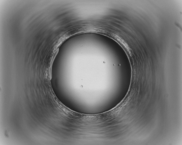 X0000096451481200802071800