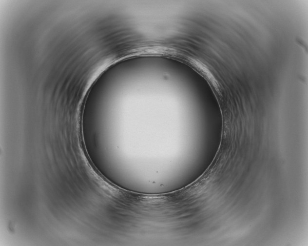 X0000096451483200802071800