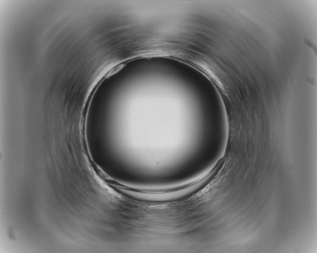 X0000096451484200802071800