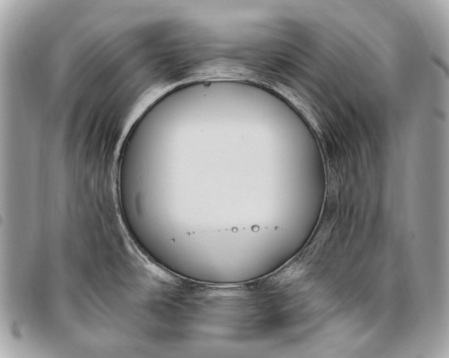 X0000096451486200802071800