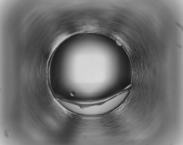 X0000096451487200802071800